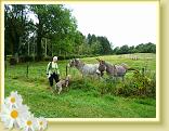 ValJoly_lla_04.09 (13)